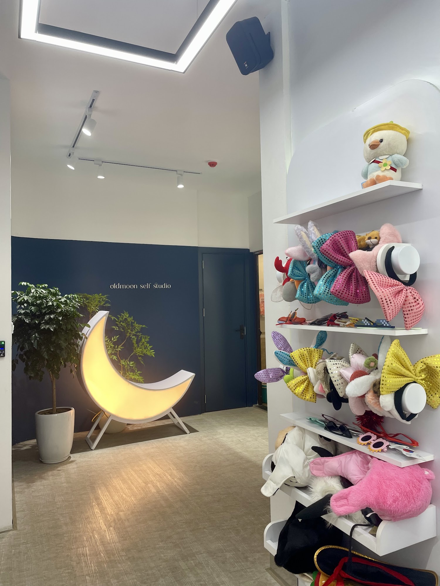 Oldmoon Nguyễn Phong Sắc - Ảnh 3